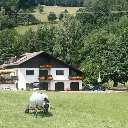 Appartamento Quaint In Huettenthal With Garden *