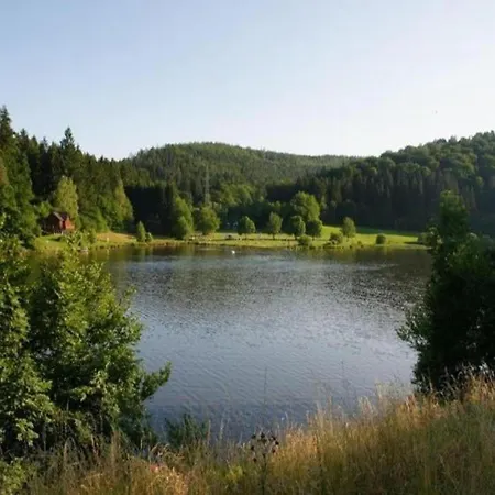 Quaint In Huettenthal With Garden Apartment