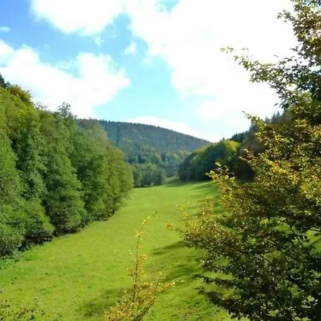 Appartamento Quaint In Huettenthal With Garden Mossautal